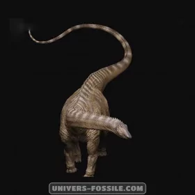 Diplodocus carnegii Museum Class Replica 1/35e
