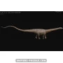 Diplodocus carnegii Museum Class Replica 1/35e to sell