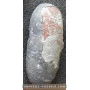 Oviraptor egg to sell
