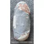 Oviraptor egg to sell