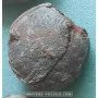 Hadrosaur Egg to sell
