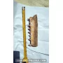 Mosasaure jaw to sell