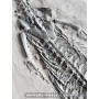 Keichousaurus à vendre