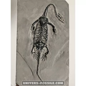 Keichousaurus