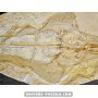 Libanopristis hiram (Sawfish) to sell