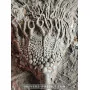Crinoïde à vendre