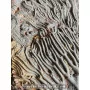 Crinoïde à vendre