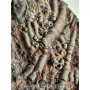 Crinoïde à vendre