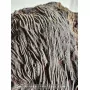 Crinoïde à vendre