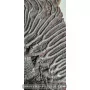 Crinoid to sell