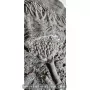 Crinoïde à vendre