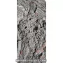 Crinoïde à vendre