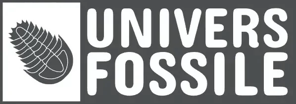 Univers Fossile