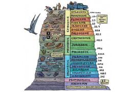 The Age of Fossils and Their Dating