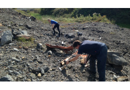 Regulations and Permissions for Fossil Collecting