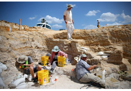 Famous Fossil Excavation Sites