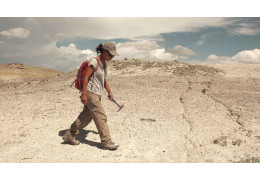 Fossil Hunting Techniques