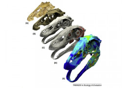 Use of Technology in Paleontology