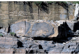Comment Identifier un Fossile Comment Identifier un Fossile