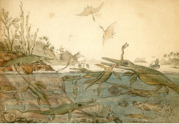 Histoire de la Paléontologie